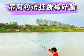野钓轻松破百斤的吊窝钓法你见过吗？ #原来钓鱼才是抖音运动顶流 #2024dou来钓鱼