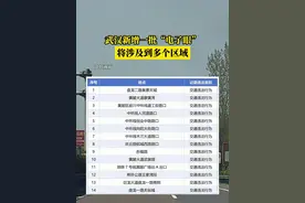 近日，武汉将新增一批“电子眼”，快来看看你经不经过这些路段~#交通出行 #武汉交通 #电子眼抓拍视频封面