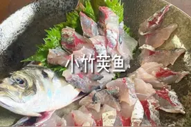 在家做日料-小竹荚鱼刺身详细的处理过程 #日料 #美食