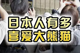 日本人究竟有多喜爱大熊猫？ #大熊猫 #熊猫香香 #大熊猫香香视频封面