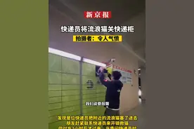 #快递员将流浪猫关快递柜#拍摄者：令人气愤视频封面