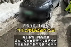 3月19日（发布时间）一台特斯拉堵了318国道，几百台车被困海拔4000米3小时。网友：只想知道这该怎么罚。（来源：志明在开车）