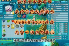 2500法伤820的任务龙宫装备怎么搭配？细节全展示！自取视频封面