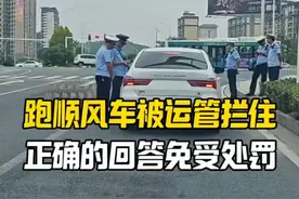 跑顺风车被运管给拦住，这样回答避免罚款#每天一个用车知识 #汽车知识 #车知识分享计划视频封面