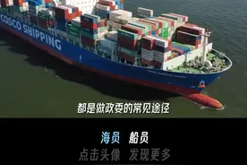 听说政委是船上最舒服的职位，海员兄弟们觉得政委都是做什么的？#海员 #海员生活 #船员 #航运e家视频封面