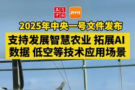 【2025年中央一号文件发布 支持发展智慧农业 拓展人工智能、数据、低空等技术应用场景】中共中央、国务院发布关于进一步深化农村改革，扎实推进乡村全面振兴的意见。意见提出，瞄准加快突破关键核心技术，强化农业科研资源力量统筹，培育农业科技领军企业。深入实施种业振兴行动，发挥“南繁硅谷”等重大农业科研平台作用，加快攻克一批突破性品种。继续推进生物育种产业化。推动农机装备高质量发展，加快国产先进适用农机装备等研发应用，推进老旧农机报废更新。支持发展智慧农业，拓展人工智能、数据、低空等技术应用场景。#智慧农业 #AI #人工智能 #低空经济视频封面