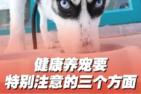 #00后女生宠物医院上班没有班味  养宠人看过来！00后兽医助理分享健康养宠要注意的三个方面。@急诊室の猫狗日记  #探访100种有趣生活