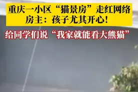 网友直呼羡慕！#重庆一小区猫景房走红网络  ，部分居民在自家阳台就能眺望重庆动物园的大熊猫。房主：孩子尤其开心，给同学们说在家就能看到大熊猫！#媒体精选计划