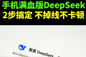 deepseek教程！2步拥有不掉线不卡顿的deepseek 防火防盗防割韭菜啊！#人工智能 #deepseek #ai工具 #深度求索 #梁文峰视频封面