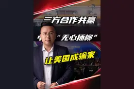 三方合作共赢，中国 “无心插柳” 让美国成输家？ #掘金计划2025 #大国博弈 #财经 #零基础看懂全球视频封面