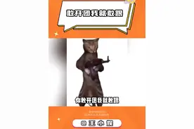 你敢开团我就敢跟 #聊天记录 #学校 #玩梗 #开团