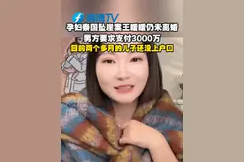 《消失的她》原型，无法离婚？！近日，凶手丈夫索赔3000万精神损失费，泰国孕妇坠崖案王暖暖仍未离婚，两个多月大的孩子至今还未落户#泰国孕妇坠崖案  #王暖暖  #泰国坠崖孕妇视频封面