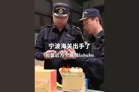 #宁波海关扣留近万个高仿labubu  #泡泡玛特  #labubu  #海关