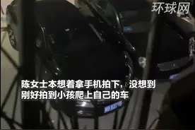 3名熊孩子夜晚在多车车顶蹦跳 车主：口头教育后孩子道了歉视频封面