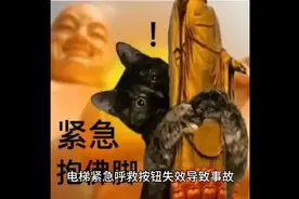 电梯紧急呼救按钮失效，物业应承担什么责任？ #电梯  #电梯安全