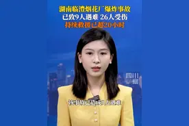 6月17日，湖南#临澧烟花厂爆炸已致9死26伤 ，应急管理部已派工作组赶赴事故现场，省政府对该事故提级调查。目前，现场正组织精干力量全力搜救。视频封面