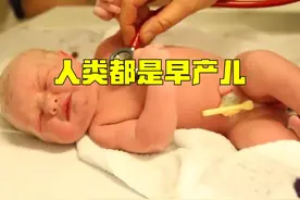 屏幕前的你其实是个早产儿。 严格来说，全人类都是早产儿