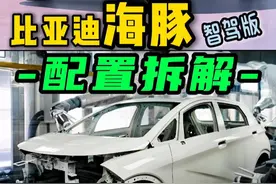 海豚智驾版：三大配置怎么选｜新款有隐藏升级 #比亚迪海豚 #海豚智驾版 #高阶智驾 #十万左右性价比高的车型推荐 #大众id3