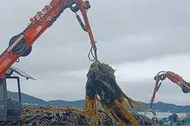 养殖鲍鱼，有很多鲍鱼冷知识！ #养殖鲍鱼 #科普 #涨知识