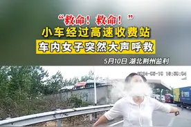 “救命！他要杀我” #高速收费站 ，车内一名女子突然高声呼救？！#新闻现场 #夫妻吵架视频封面