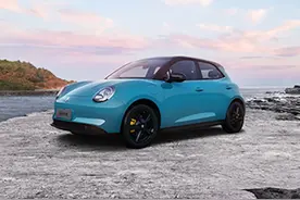 欧拉好猫停好下车自动开走 主持人：你这是害人害己#欧拉好猫#autohold自动驻车#抖音汽车#汽车事故视频封面