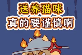 给小猫找领养真的要谨慎！！不是所有被领走的猫猫都能得到幸福……#领养代替购买 #流浪猫领养 #养猫经验分享 #猫咪日常 #南枝小馆 @DOU+小助手视频封面