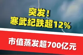 突发！#寒武纪跌超12%，市值蒸发超700亿元，已从最高价1595.88元回撤超20%