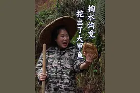 妈！快看我挖到什么！——挖水塘惊现“千年大王八”？#农村生活 #农村美食 #新农人计划2025