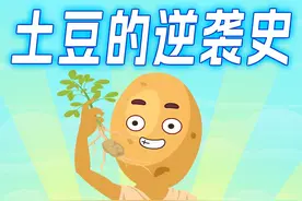 土豆从“猪食”到“主食”的逆袭之路 #铲史官方脑壳 #原创动画 #土豆 #科普 #涨知识