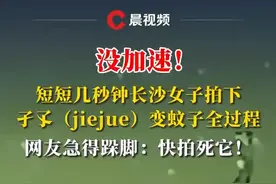 没加速！短短几秒钟长沙女子拍下孑孓(jiejue)变蚊子全过程，网友急得直跺脚：快拍死它
#蚊子 #没加速 #长沙 #媒体精选计划 
来源：@爆裂八嘎