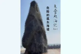 东营赶海记（三）危险的孤东海堤 大多数博主只给大家说那有多好，却都不说有多危险。
本次把亲身体验说给大家，希望能帮助各位闭坑。#赶海 #东营 #孤东海堤 #赶海避坑 #钓螃蟹