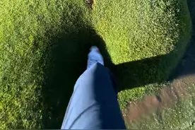 为什么草皮会“鼓大包” #科普 #解压 #涨知识