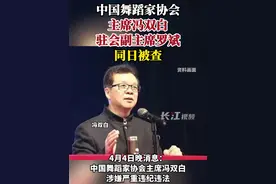 中国舞蹈家协会主席冯双白、驻会副主席罗斌同日被查#打虎拍蝇