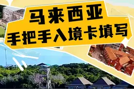 如何丝滑畅游马来西亚 手把手教你如何填写马来西亚入境卡#月月月月游 #马来西亚 #新加坡视频封面