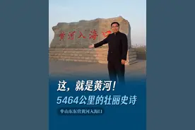 20分钟长视频，带你溯源黄河一路奔流到海的奇迹！有风景，有故事，有温度，有深度！#黄河 #母亲河 #山东东营 #巴颜喀拉山 #黄河入海口视频封面