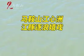 马鞍山江心洲的“微笑天使”逐浪嬉戏 #长江 #呵护江豚 视频封面