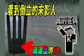 我的世界：如果看到倒立的末影人，请赶快退出游戏！