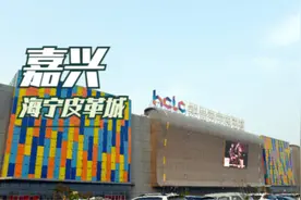 海宁为何能成为国内最大皮革城？这里盛产皮革还是因为其他原因视频封面