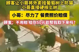 顾客让小哥将外卖挂葡萄树上防猫，小哥直接硬核上树。小哥：尽力了！餐费照价赔偿，顾客：不用赔！给你50元能帮我取下来吗?视频封面