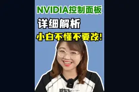 NVIDIA控制面板详细解析。不懂的小白可千万别动哦#电脑知识 #电脑 #肉肉姐电脑装机