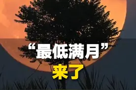 今天15时44分，记得抬头看！本年度“最低满月”将现身天宇