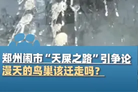 4月14日，郑州闹市“天屎之路”引争论，行人时常被鸟屎“袭击”，漫天的鸟巢该迁走吗？你怎么看#河南dou知道