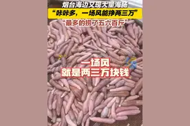 “这换成海肠捞饭能换套房” 10月20日，山东烟台。一场大风过后，烟台海边又现大量海肠。“最多的捞了五六百斤”，按收购价，一场风过后捞的海肠能挣两三万。#海肠 #烟台海边又现大量海肠 #海肠捞饭 #赶海赶海赶海啦 #大海的馈赠视频封面
