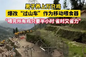 4月22日（采访时间）浙江温州。男子养上万只鸡，爆改“过山车”作为移动喂食器。“喂完所有鸡只要半小时 省时又省力”（来源：平凡农场小龙）视频封面