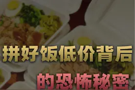 拼好饭疯起来连自己人都打，低价外卖到底收割了谁？【商业模式】视频封面