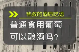#葡萄酒 #葡萄酒知识 以前喝家酿葡萄酒总是肚子痛的原因找到了...视频封面