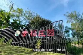 幸福庄园宣传片震撼来袭#抖音小助手我要上热门#军训时光视频封面
