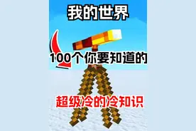 我的世界：100个你要知道的超级冷的冷知识 #我的世界 #mc