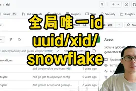 重磅推荐：全局唯一ID生成器--xid #go语言 #golang