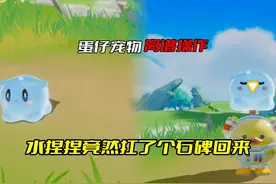 蛋仔宠物离谱操作 水捏捏竟然扛了个石碑回来#蛋仔派对